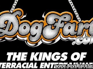 Free Gay Black Porn Videos With Big Cocks And Nice Ass 18